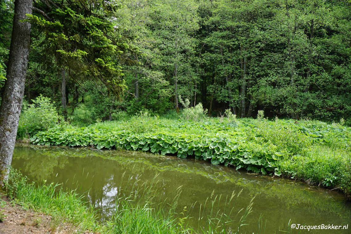 Motte Zehnbachhaus in het Urfttal