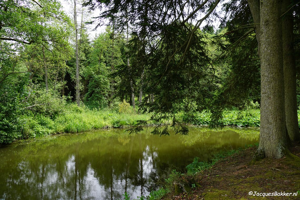 Motte Zehnbachhaus in het Urfttal