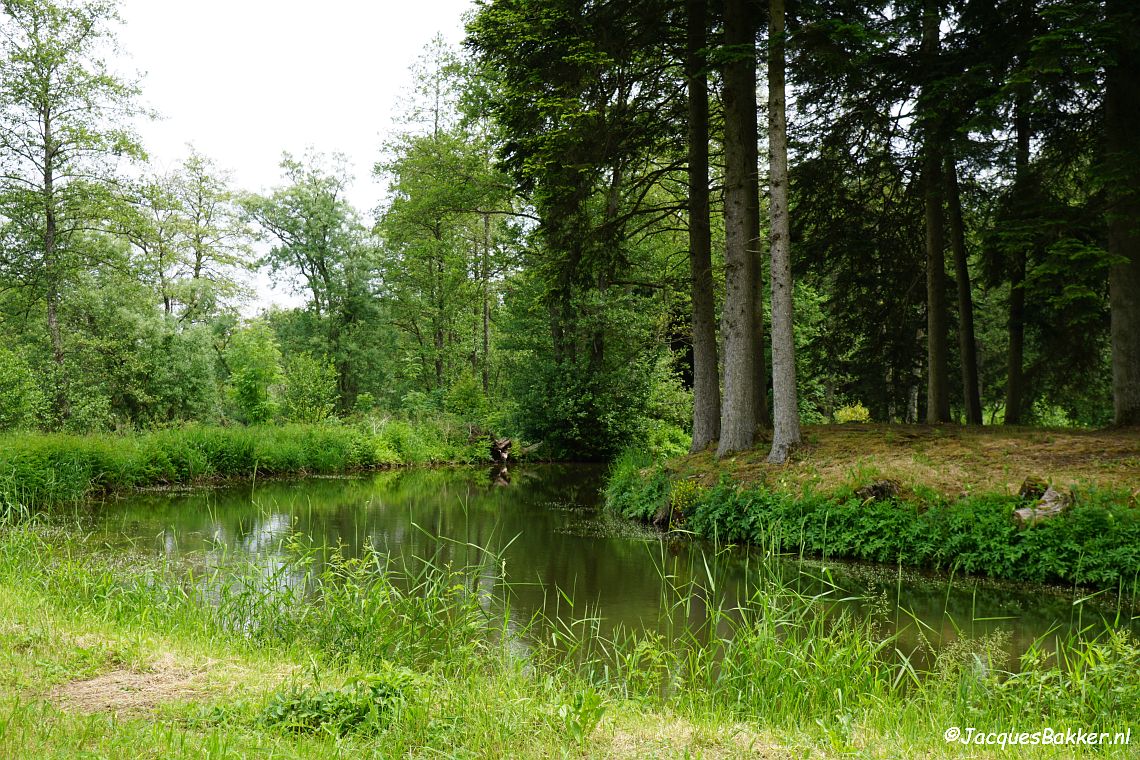 Motte Zehnbachhaus in het Urfttal