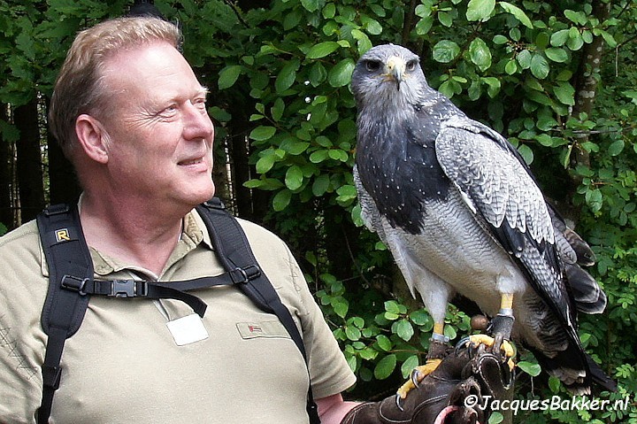 Greifvogelstation Hellenthal Jacques Bakker met Adelaar