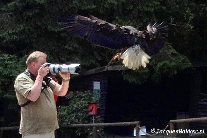 Greifvogelstation Hellenthal Jacques Bakker met telelens