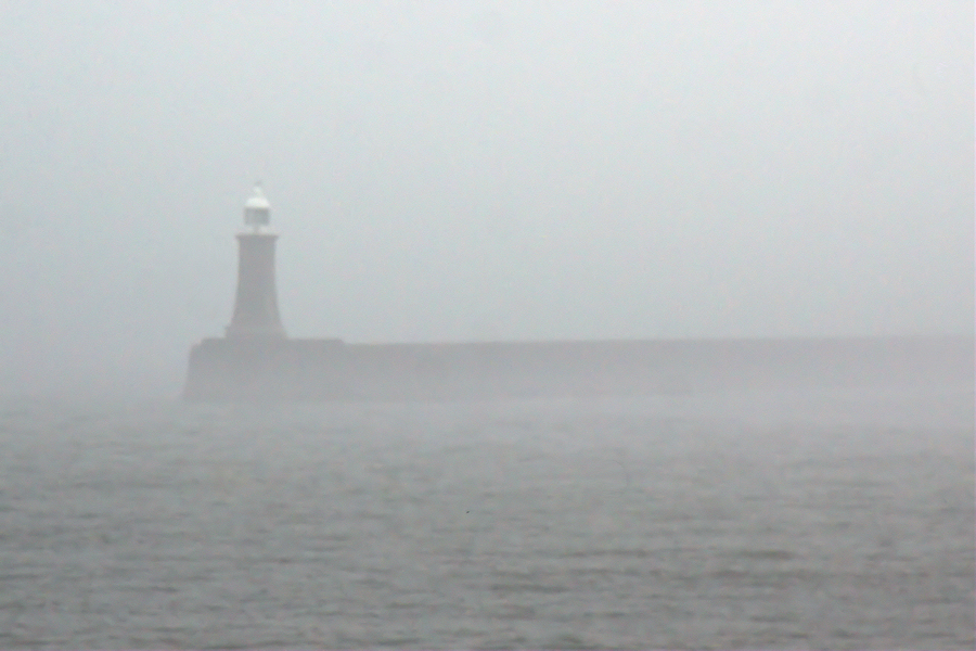 Newcastle Harbour