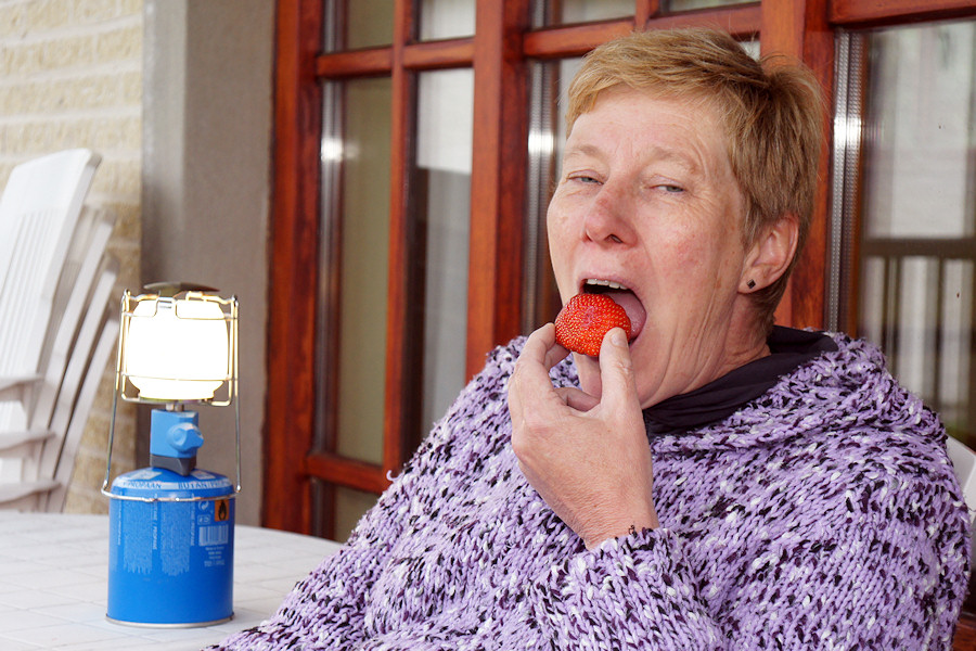 Scottisch Strawberry